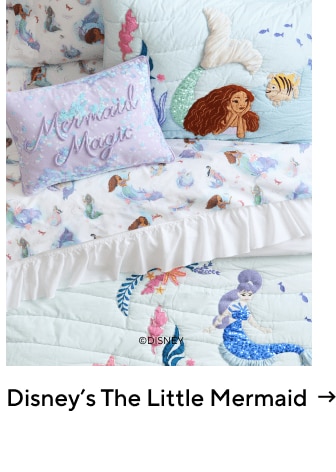 Disney's the little mermaid